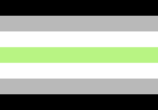 Picture of Agender Flag