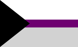 Picture of Demisexual Flag