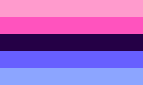 Picture of the Omnisexual Flag