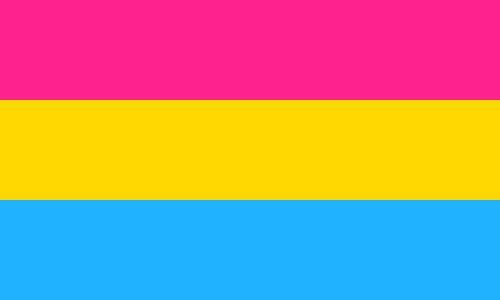 Picture of the Pansexual Flag
